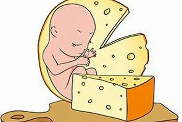 Чем полезен сыр