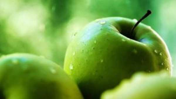 Чем полезны яблоки для организма, лечебные свойства и противопоказания