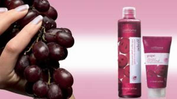 Чем полезен виноград для организма, свойства и противопоказания