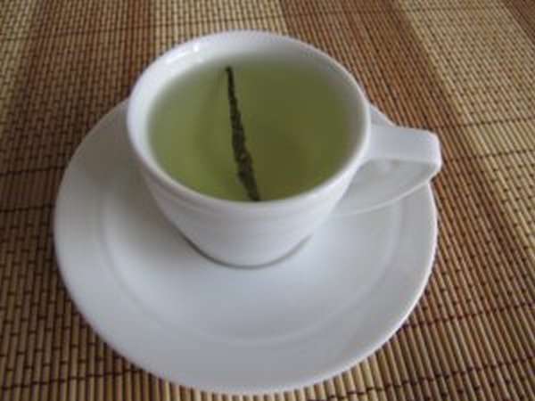Чай Кудин: полезные свойства и противопоказания