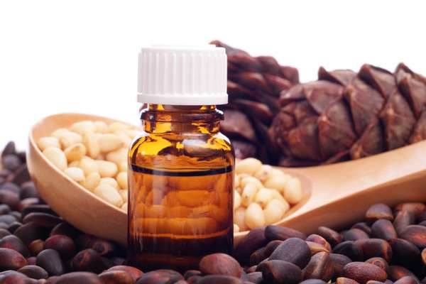 Кедровое масло: полезные свойства и вред