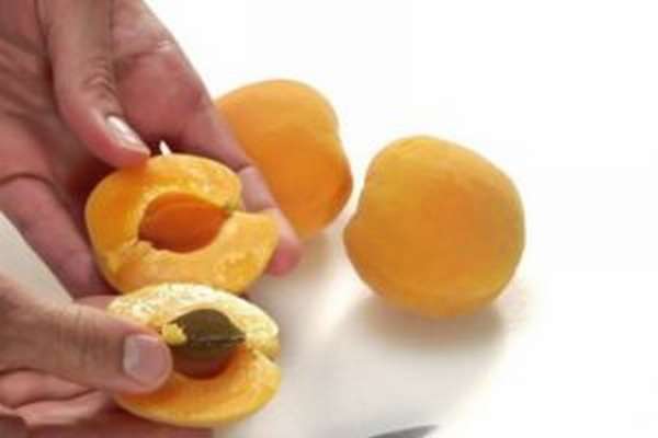 Польза и вред ядер абрикосовых косточек