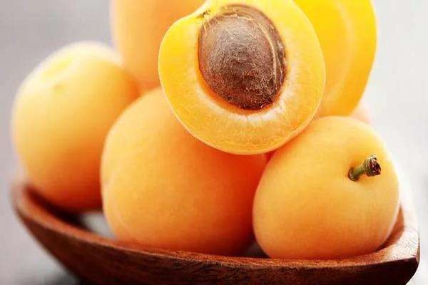 Чем полезны абрикосы для организма