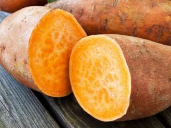 Сладкий картофель батат: полезные свойства и противопоказания