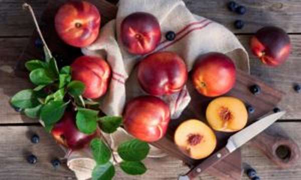 Чем полезны персики для организма, свойства и противопоказания