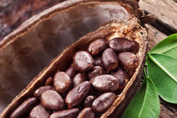 Чем полезно какао масло, как сделать его в домашних условиях