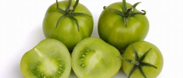 Зеленые помидоры от варикоза