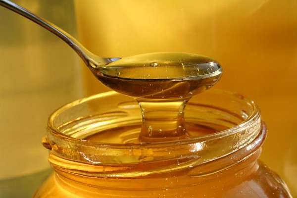 Мед из одуванчиков: польза и рецепт приготовления в домашних условиях