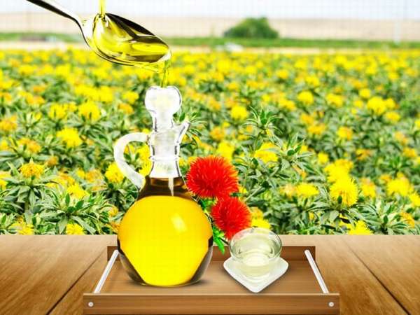 Сафлоровое масло: полезные свойства и противопоказания, как принимать