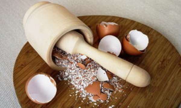 Яйца индейки: польза и вред