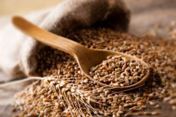 Чем полезна пшеничная каша для организма