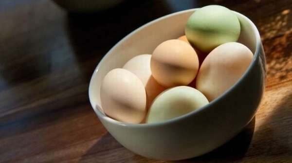 Чем полезны утиные яйца