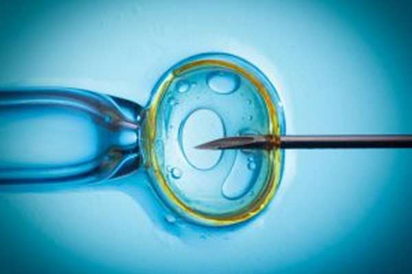 Как варикоцеле влияет на зачатие?