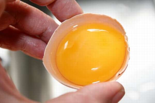 Чем полезны утиные яйца