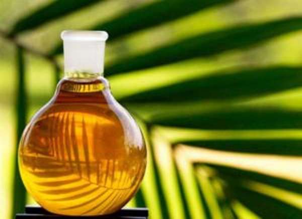 Чем вредно пальмовое масло, фото и отзывы