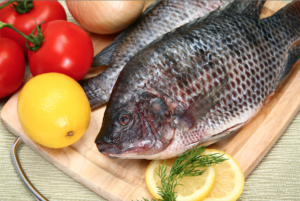Рыба тилапия (телапия): польза и вред, где водится, отзывы