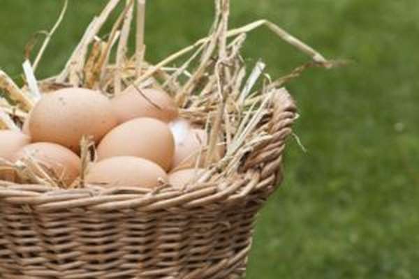 Цесариные яйца: польза и вред, сколько варить
