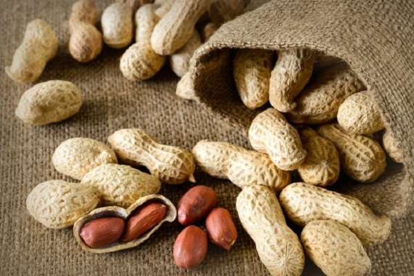 Чем полезен арахис для организма